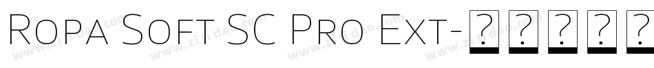 Ropa Soft SC Pro Ext字体转换